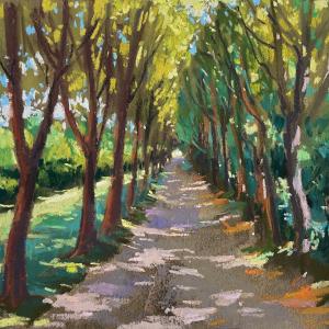 Avenue